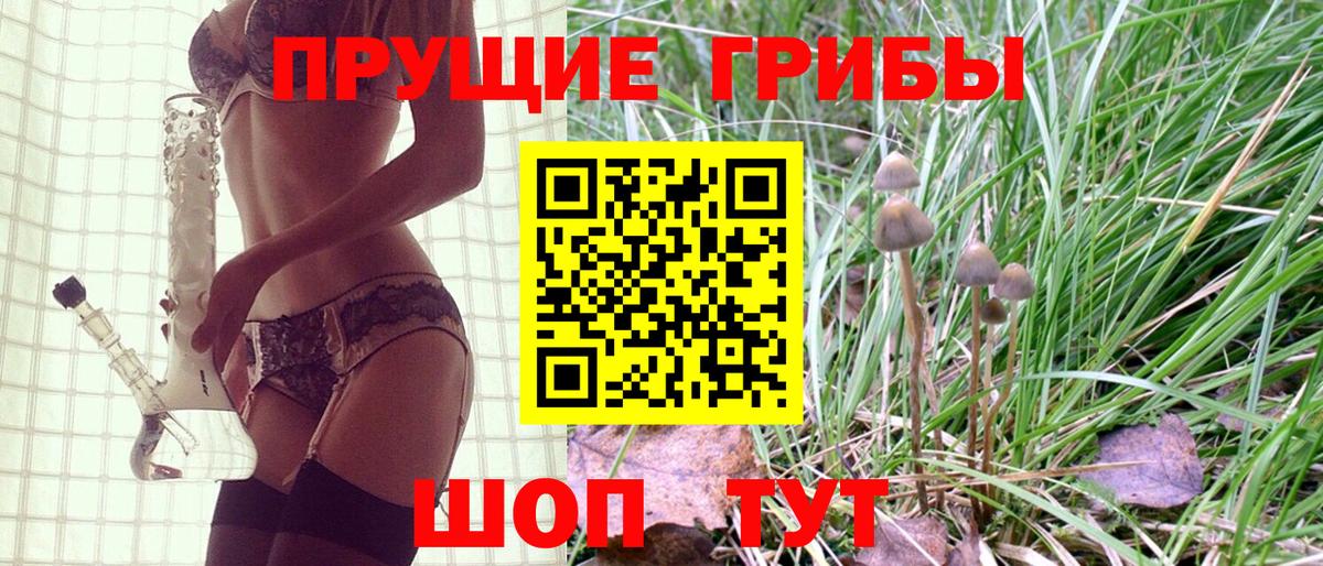 Галлюциногенные грибы мухоморы Новокузнецк